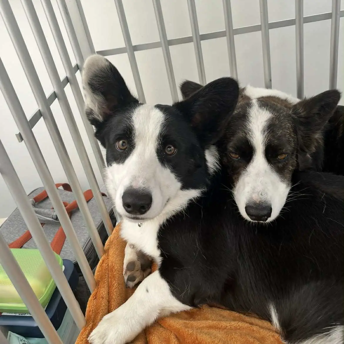 559451da-4193-4f55-a84a-63d91109b19b