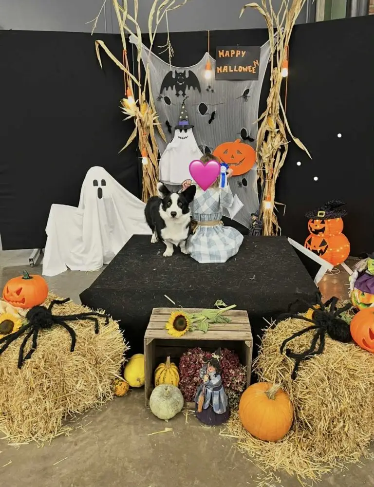 cdd2dca4-f7ce-464e-a606-f45dd8cbe3e4