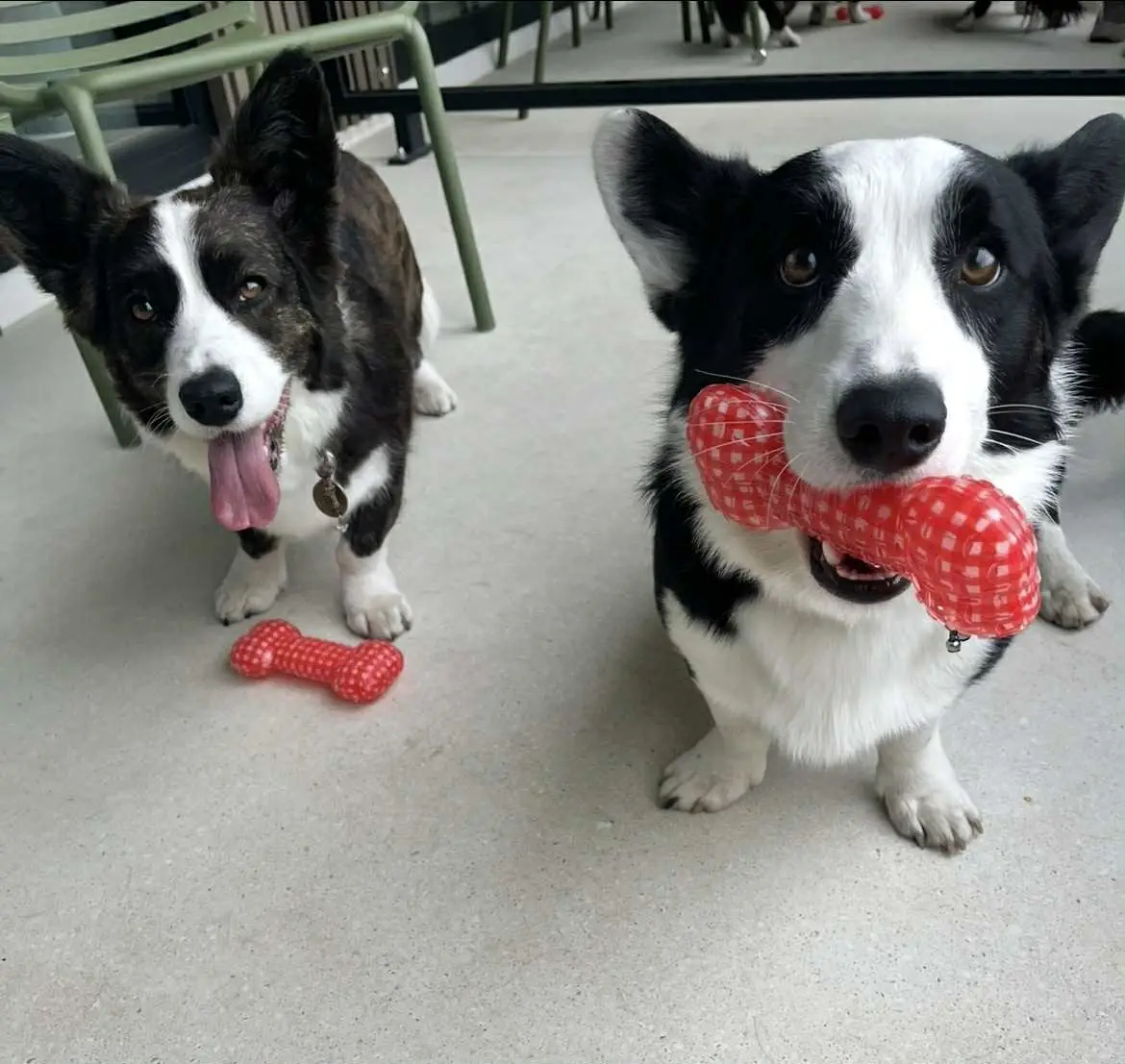 fe8e8899-7364-456f-8bb0-a373a1faa7c7