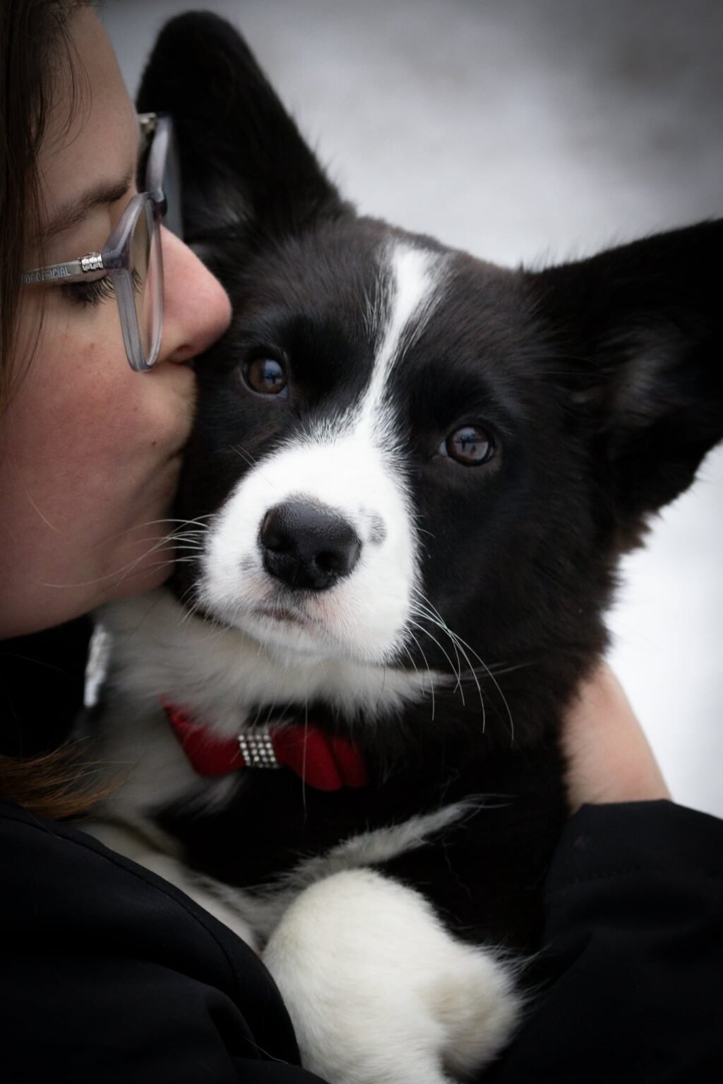 06a8b23c-4eed-417e-beb0-311c63295f06